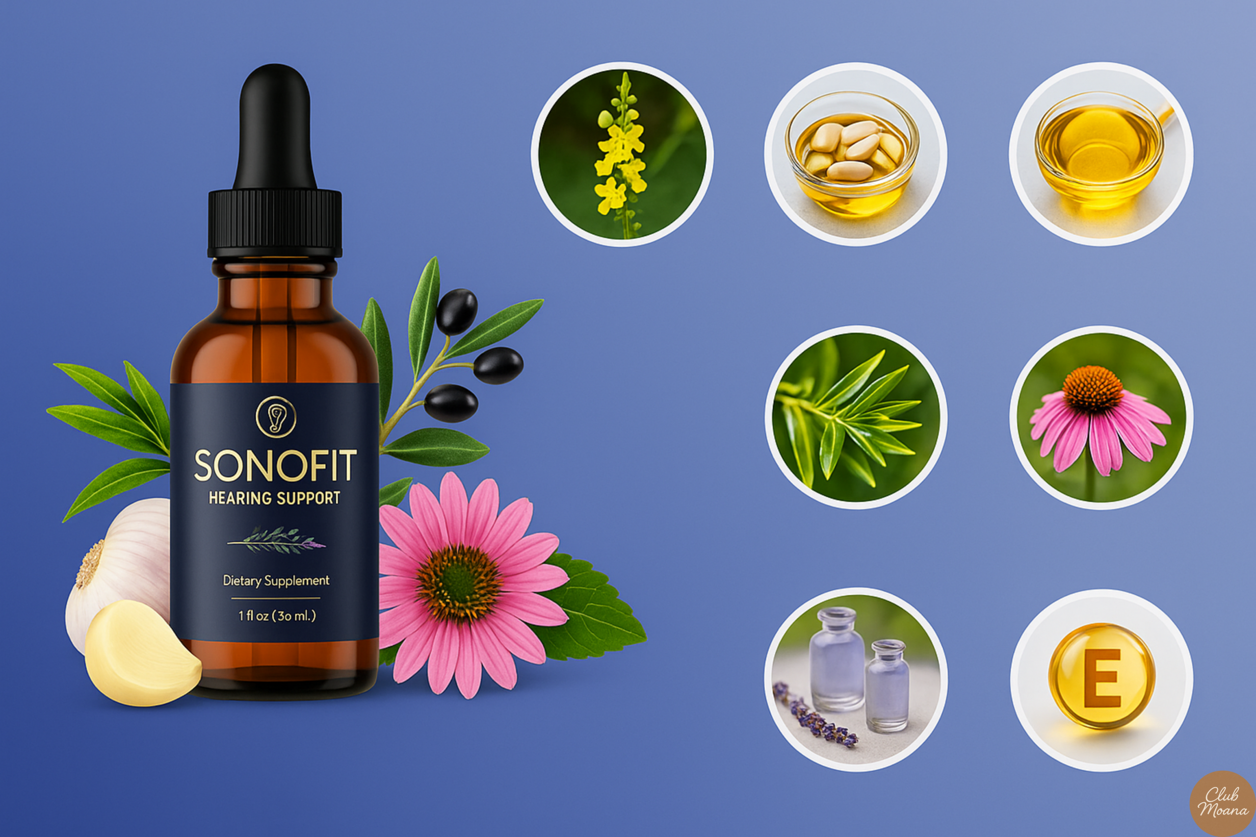 Flat-lay of natural ingredients like garlic, herbs, oils with a dropper bottle