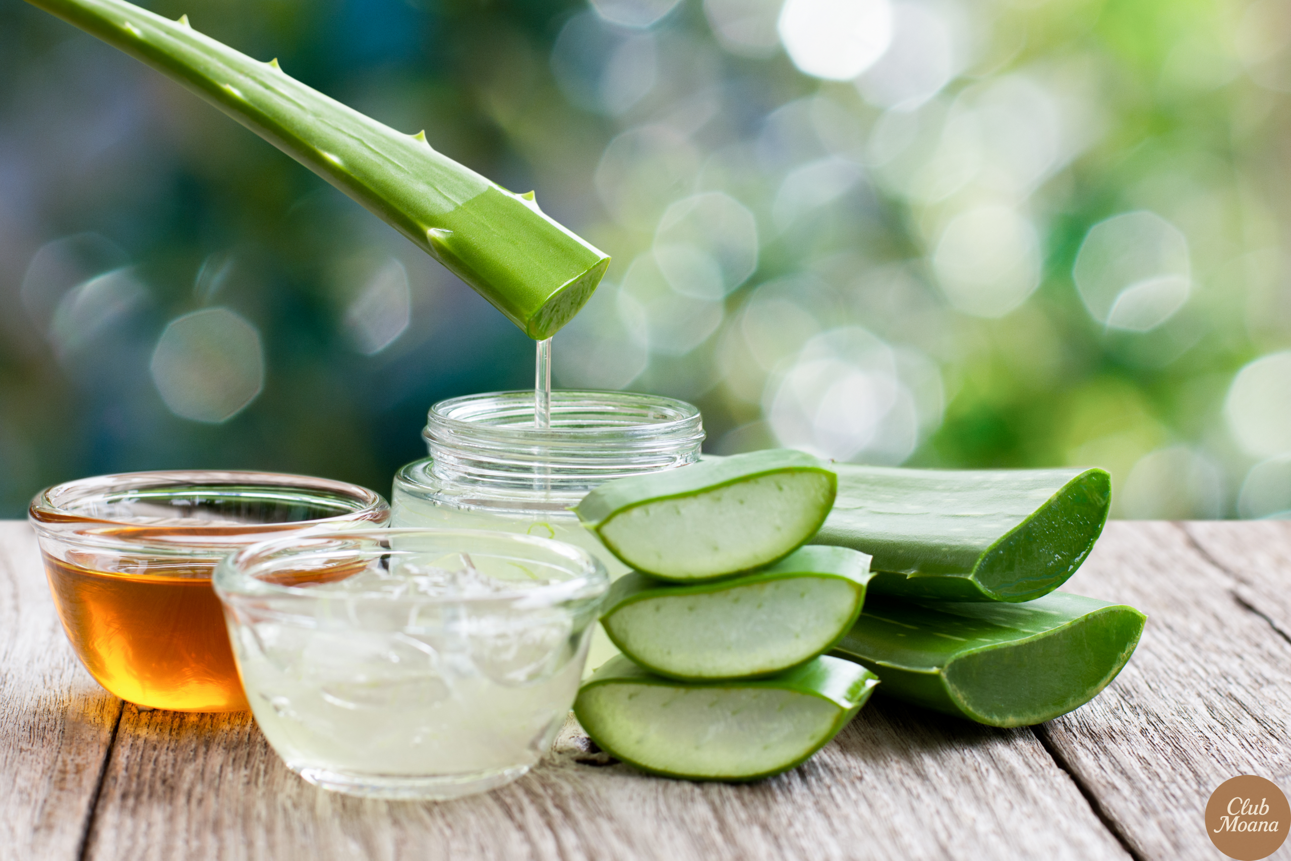 Aloe vera leaf and fresh-cut gel on a wooden board
