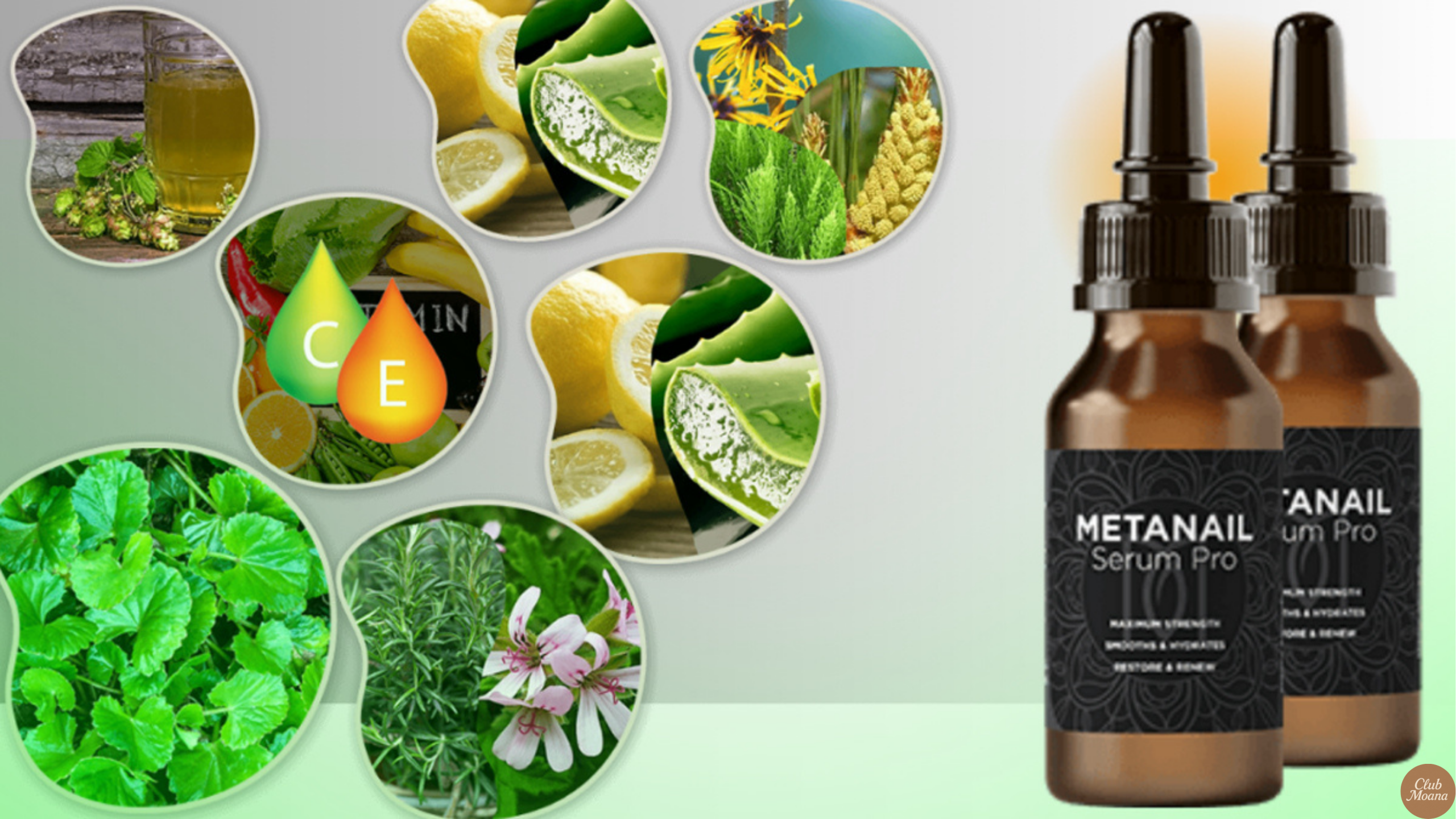 Metanail Serum Pro Supplement