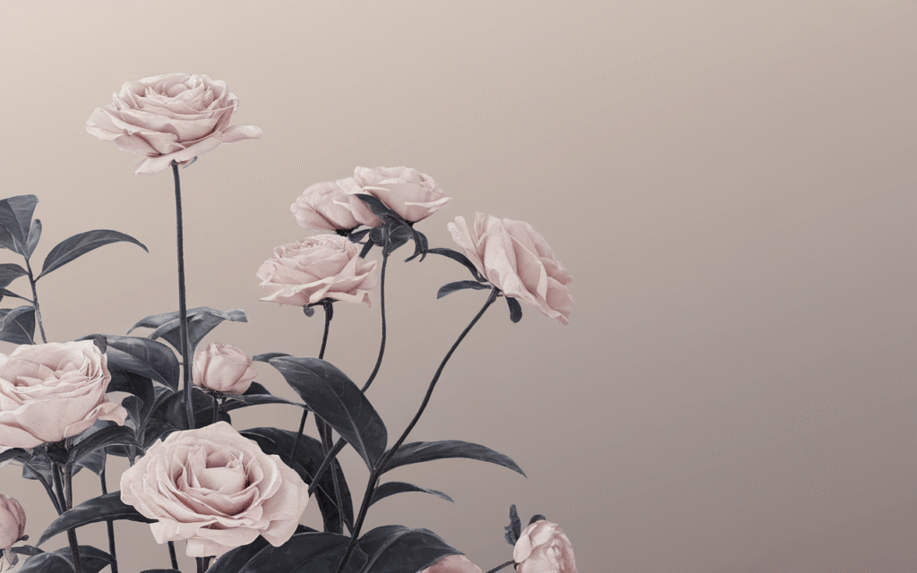Minimalist Monochrome Magic