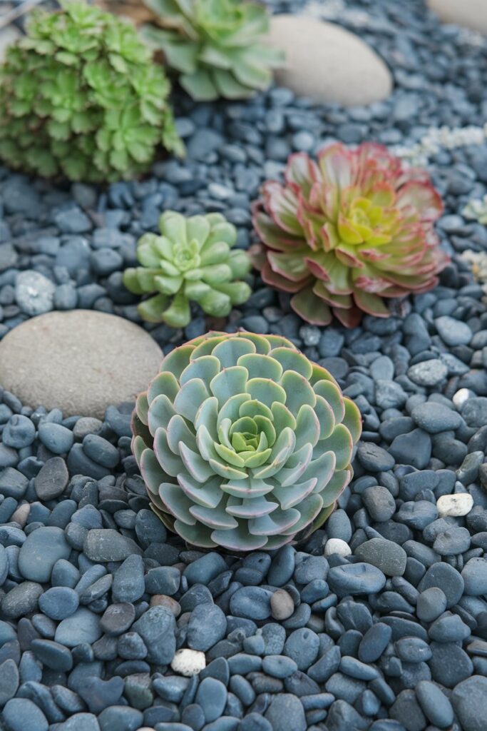 Add a Rock Garden